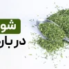 خوردن شوید در بارداری: خوبه یا بده؟ + فواید و ضرر ها و نحوه مصرف شوید